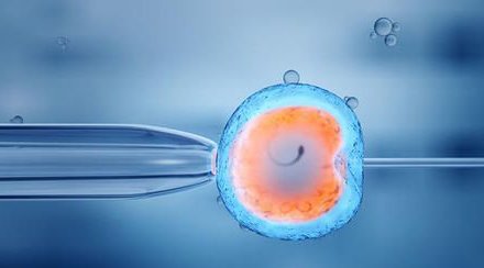 南宁市妇幼保健院做三代试管婴儿成功率高不高？什么因素可以影响到试管成功率