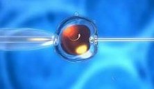 专业剖析属龙人较好婚姻对象有哪些，婚后注定幸福美满