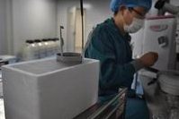 在海军军医大学长海医院做试管婴儿要多少钱？成功率怎么样？附试管怀孕机构名单一览