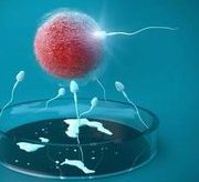 宜昌公立医院做试管婴儿的流程安排是怎么样的？如何提高试管成功率？