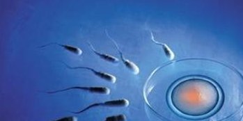 子宫纵隔生育困难可以在黄骅市做三代试管吗？子宫有问题做试管的成功率高吗？